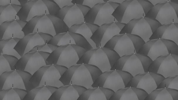 Breakthrough Idea Innovation Audacity Dare Unthinkable Bravery Sea Black Umbrellas — Stock Video