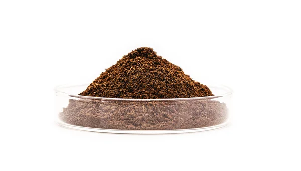 Hochwertiges Kaffeepulver Petrischale Bio Engineering Labor Weißer Hintergrund Transgene Kaffeeforschung — Stockfoto