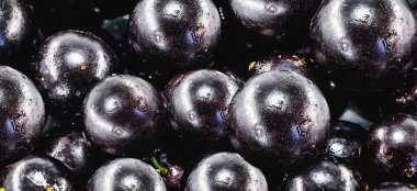 Jabuticaba ya da jaboticaba, Mirtaceae familyasından bir Brezilya meyve ağacı olan jaboticabeira veya jabuticabeira 'nın ürünüdür..