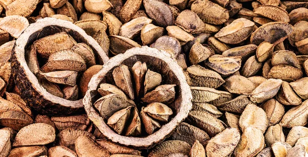 Brazil nuts, export product from the Amazon. Brazil nuts are called 