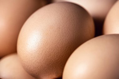 Serbest tavuk yumurtaları, tipik Brezilya yumurtaları, nokta odaklı.