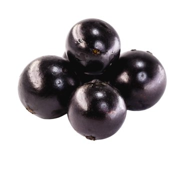 Jaboticaba ya da Jabuticaba, çiğ yenebilir ya da reçel, meyve suyu, likör ya da şarap yapımında kullanılabilir. Beyaz yalıtılmış arka planda tipik Brezilya meyvesi.