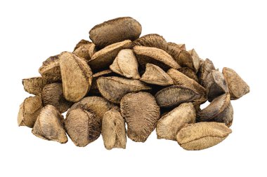 Brezilya fındığı, ayrıca Brezilya fındığı olarak da bilinir, izole beyaz arka planda.