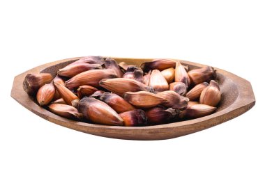 pinhao tohumları, araucaria 'nın tohumu, Brezilya' nın güneyinde ve güneydoğusunda bulunan bir ağaç, özellikle sonbahar ve kış aylarında pişmiş veya kavrulmuş, izole edilmiş beyaz arka plan.