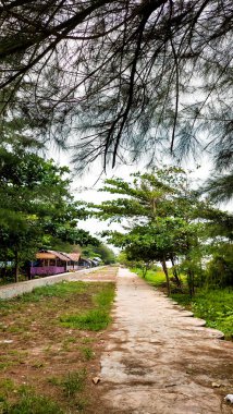 Panjang sahilinin kıyısındaki patika, Bengkulu şehri, Endonezya