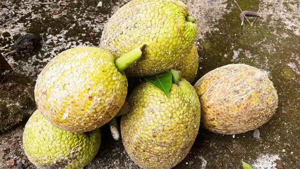 Sukun ya da ekmek meyvesi nişastalı, genellikle pişirilmiş ya da kızartılmış ve besleyici olan tropikal bir meyvedir..