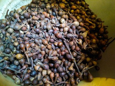 Bitkisel ilaç yapımında kullanılan çeşitli bitkiler.