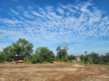 Çorak bahçe toprağı, parlak mavi gökyüzünün zeminine açılmaya başlıyor.