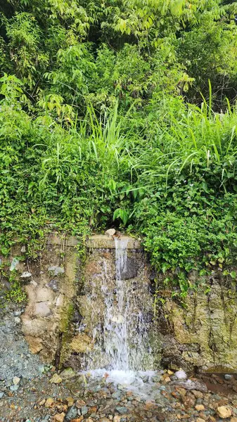 Otların arasından akan berrak dağ suyu