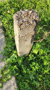 Dökme çimento sütunları, onları çevreleyen çimenli yapraklarla tezat oluşturur.