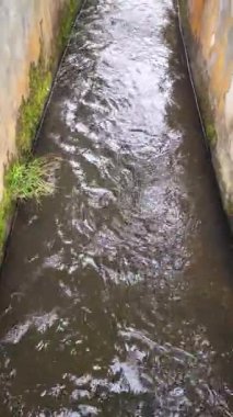 Pirinç tarlalarını sulamak için beton duvarları olan bir hendekte berrak ve soğuk su akar.