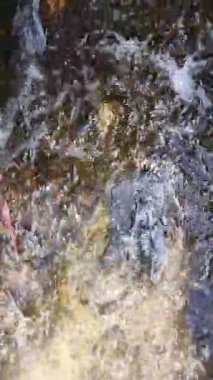 Pirinç tarlalarını sulamak için beton duvarları olan bir hendekte berrak ve soğuk su akar.