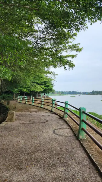 Ketapang Kencana güzel bir park olan gölün kenarında. Bu ağaç (Terminalia mantaly) ağaç şeklinde bir gölge bitkisidir. Yatay ve katmanlı tepe örtüsü, aynı klandan akrabası gibi..