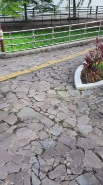 Özürlüler için sarı işaretli güzel, gölgeli bir park.