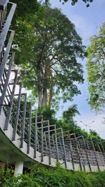 Lake Sipin Park Jambi with circular curved buildings adds to the beauty of the outskirts of the Jambi governor's office. suitable for refreshing and relaxing. clipart