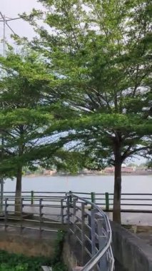 Ketapang Kencana güzel bir park olan gölün kenarında. Bu ağaç (Terminalia mantaly) ağaç şeklinde bir gölge bitkisidir. Yatay ve katmanlı tepe örtüsü, aynı klandan akrabası gibi..