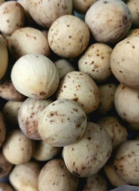 Duku ya da Lansium domesticum, Meliaceae kabilesi üyelerinden bir meyve türüdür. Güneydoğu Asya 'dan gelen bu bitkinin langsat, kokosan, pisitan, celoring ve çeşitli çeşitlilikteki diğer bitkilerle benzerlikleri var..