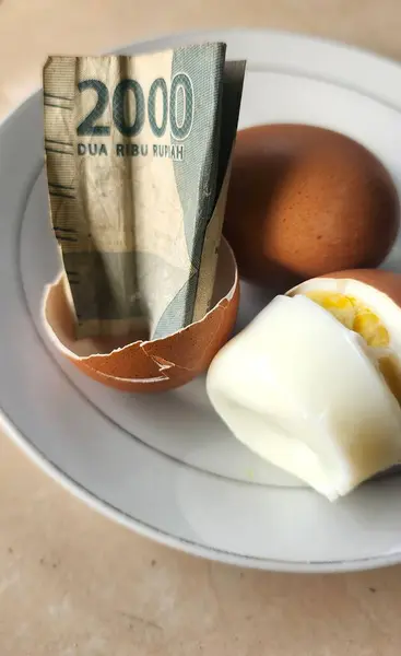 Rupiah parası üreten bir yumurta, sonuç üreten bir yatırımın çizimi.