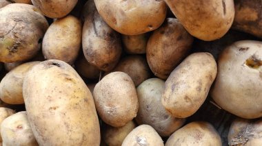 Pazarda taze organik patates. Yakın plan. Seçici odak.