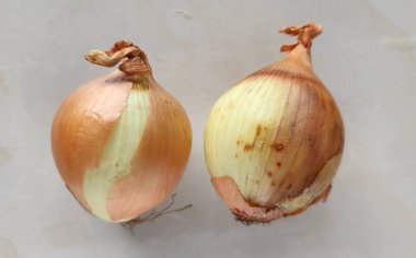 Beyaz arkaplanda soğan soğanları, yakın plan fotoğraf.