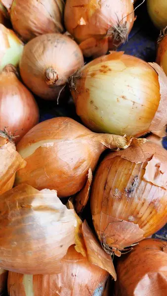 Beyaz arkaplanda soğan soğanları, yakın plan fotoğraf.