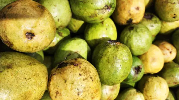 Guava çok miktarda C vitamini içerir, bu da vücut dayanıklılığını korumak için iyidir..