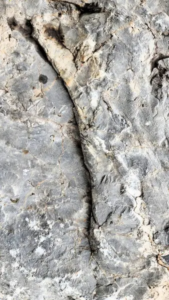 Taş yüzey arkaplan dokusu