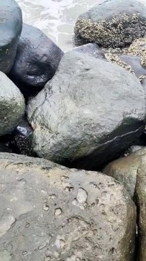 Padang City, Batı Sumatra, Endonezya 'nın batı kıyısındaki sahil dalgaları büyük doğal kayalardan oluşan dalgalara çarpıyor. Deniz kıyısının güzel manzarası. 