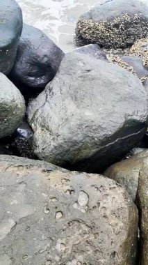 Dalgalı güzel deniz manzarası