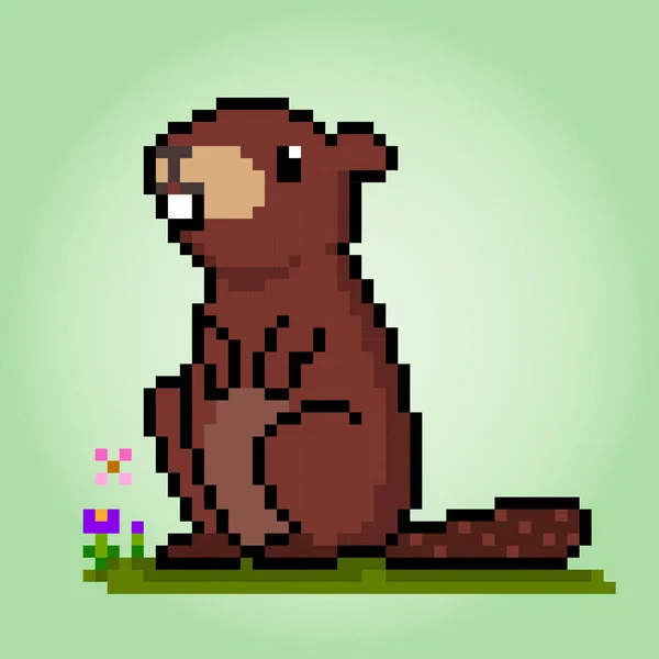 8位Pixel海狸 矢量图解中的动物换游戏资产 — 图库矢量图片