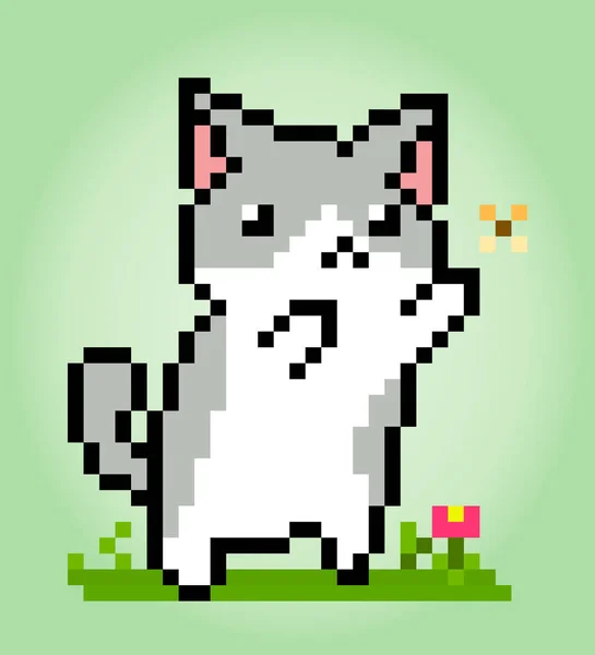 ピクセル8ビット猫は蝶をキャッチします ベクターイラストのゲーム資産のための動物 — ストックベクタ