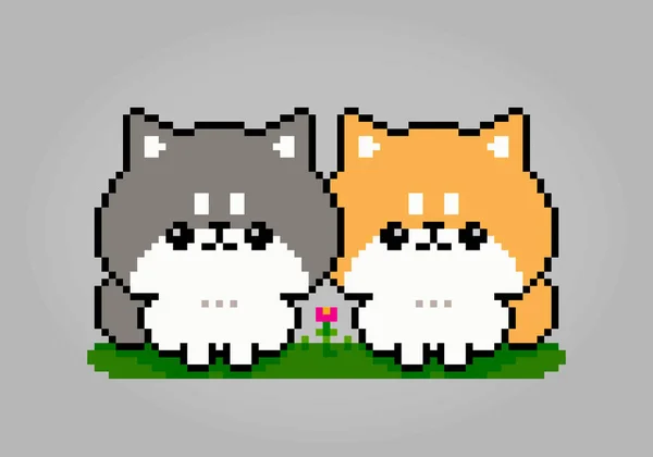 Píxeles Bits Dos Perros Shiba Inu Píxeles Animales Para Juegos — Archivo Imágenes Vectoriales