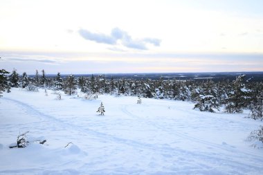 Luosto, Laponya, Finlandiya 'da kar yağışıweather forecast