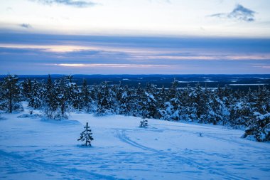 Luosto, Laponya, Finlandiya 'da Günbatımı ve Kar