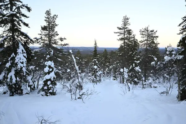 Luosto, Laponya, Finlandiya 'da kar yağışıweather forecast