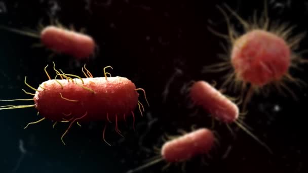 Experimenta Choque Invisible Entre Bacterias Virus Esta Cautivadora Animación Contra — Vídeo de stock