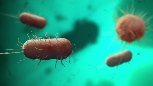 Dyk Flytande Värld Där Bakterier Och Virus Engagerar Sig Fängslande — Stockvideo