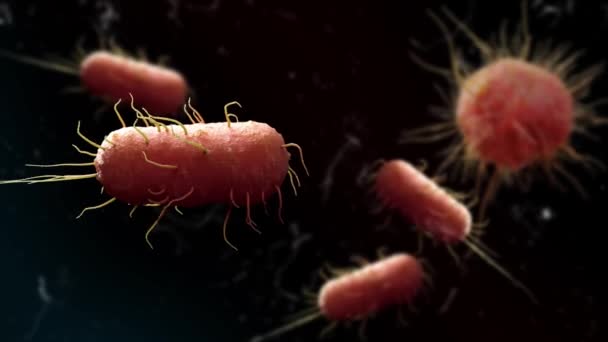 Voer Het Ongeziene Slagveld Waar Bacteriën Virussen Botsen Een Betoverende — Stockvideo
