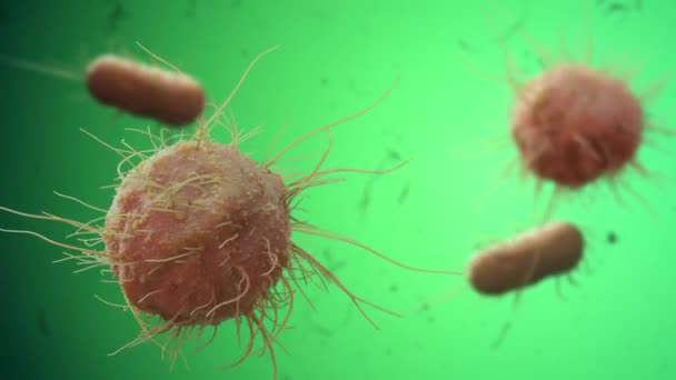 Войдите Токсичную Среду Бактерии Вирусы Ориентируются Невидимых Опасностях Трехмерная Анимация — стоковое видео