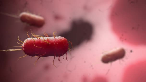 Pas Într Lume Crimson Care Bacteriile Prind Viață Într Animație — Videoclip de stoc