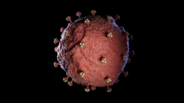 Βίντεο Του Single Virus Black Background Προσφέρει Μια Κοντινή Εικόνα — Αρχείο Βίντεο
