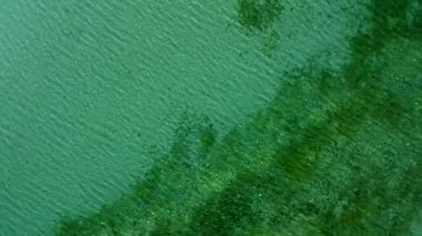 Güzel turkuaz denizin güzel drone manzarası. 