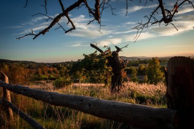 Polonya 'nın kırsal kesiminde sonbahar günbatımı manzarası. Eski meyve bahçesi, ön planda ahşap çit.. 