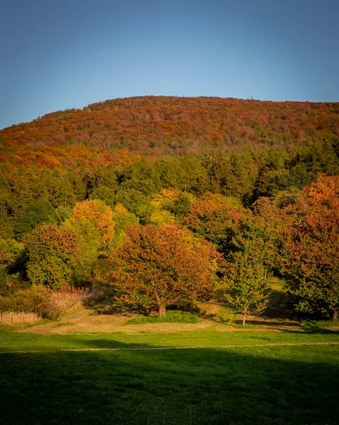 与波兰Sleza山的秋天日落景观 树上五彩斑斓的树叶 — 图库照片