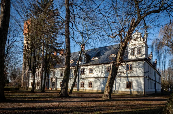 ポーランドのクジゾヴィツェ 2023年2月9日 Xvii世紀の宮殿 シュロス シュランツ ネオバロック様式とネオゴシック様式で 公園に囲まれています 下シレジアのドイツの歴史的建造物 — ストック写真