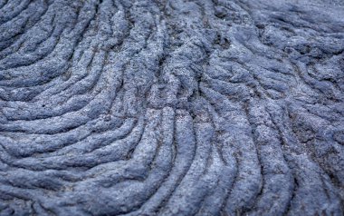 Arka plan olarak gri lav kayası. Hvaleyri Sahili, İzlanda. 