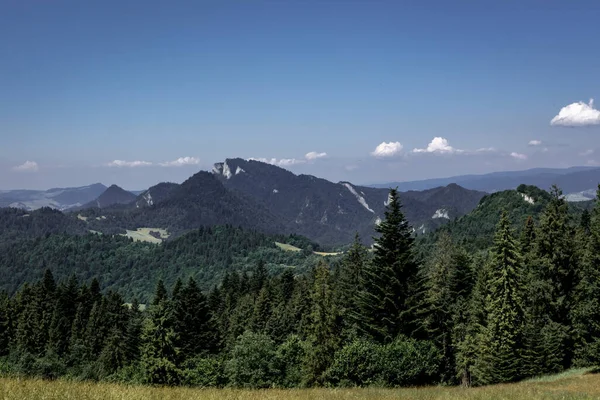 Krajobraz Trzy Korony Góry Oglądany Huscyawy Pieninach Polska Zielony Las — Zdjęcie stockowe