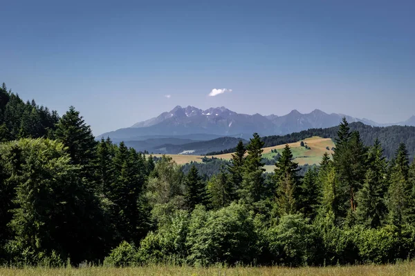 Krajobraz Tatrzańskimi Górami Widziany Huscyawy Pieninach Zielony Las Pierwszym Planie — Zdjęcie stockowe