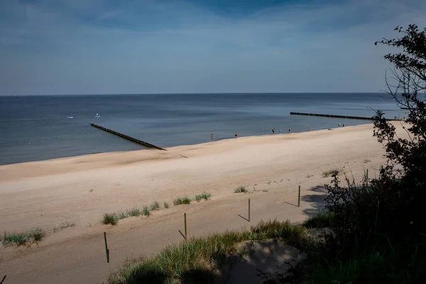 Trzesacz Baltık Denizi Polonya Daki Ahşap Dalgalı Kumsal Önplanda Yeşil — Stok fotoğraf