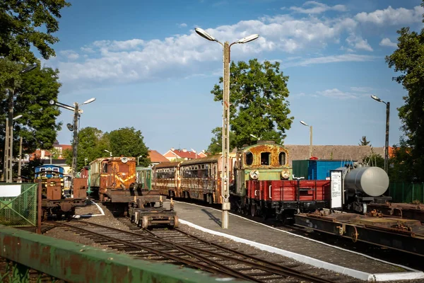 波兰格里菲斯 2023年9月19日 旧生锈的机车和火车在海滨窄轨铁路展览馆展出 — 图库照片
